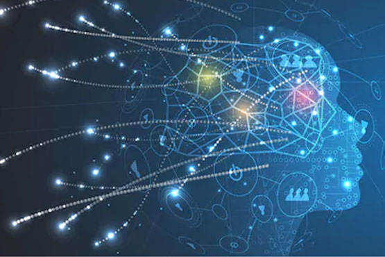 Diploma in Information Technology